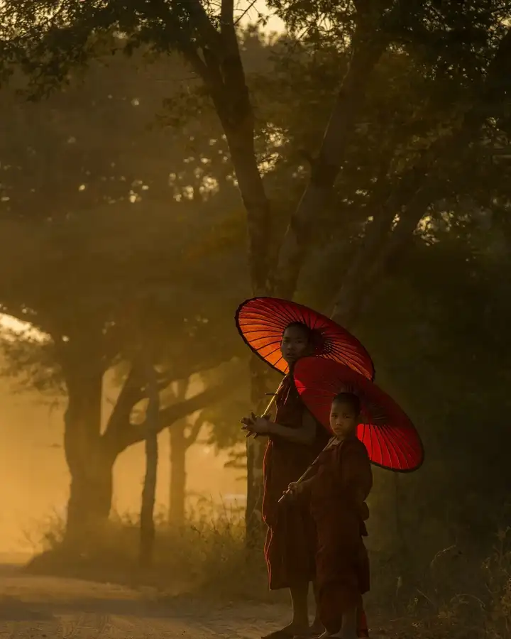 Two figures holding red parasols in a forest filled with golden light