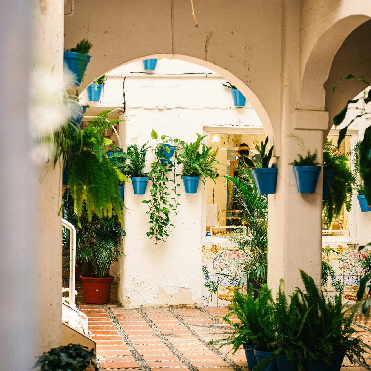 Blue plant pots and greenery around the arches of a sunlit white courtyard