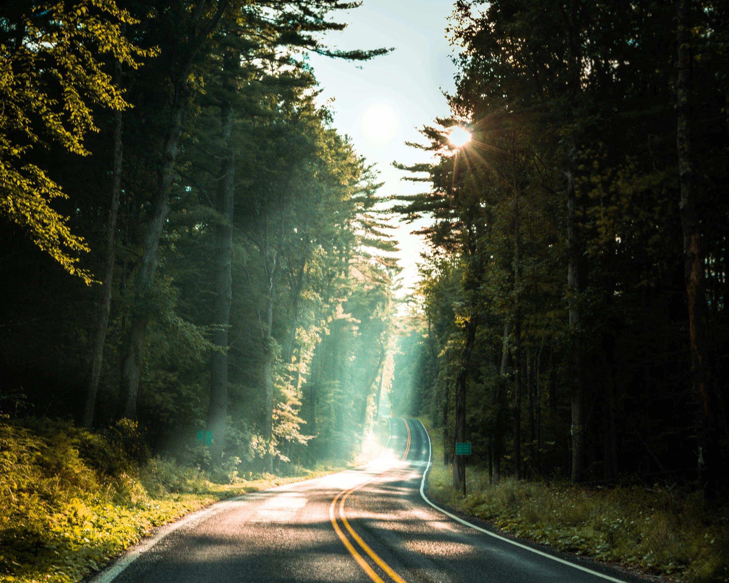 Forest road with sunlight breaking through the trees