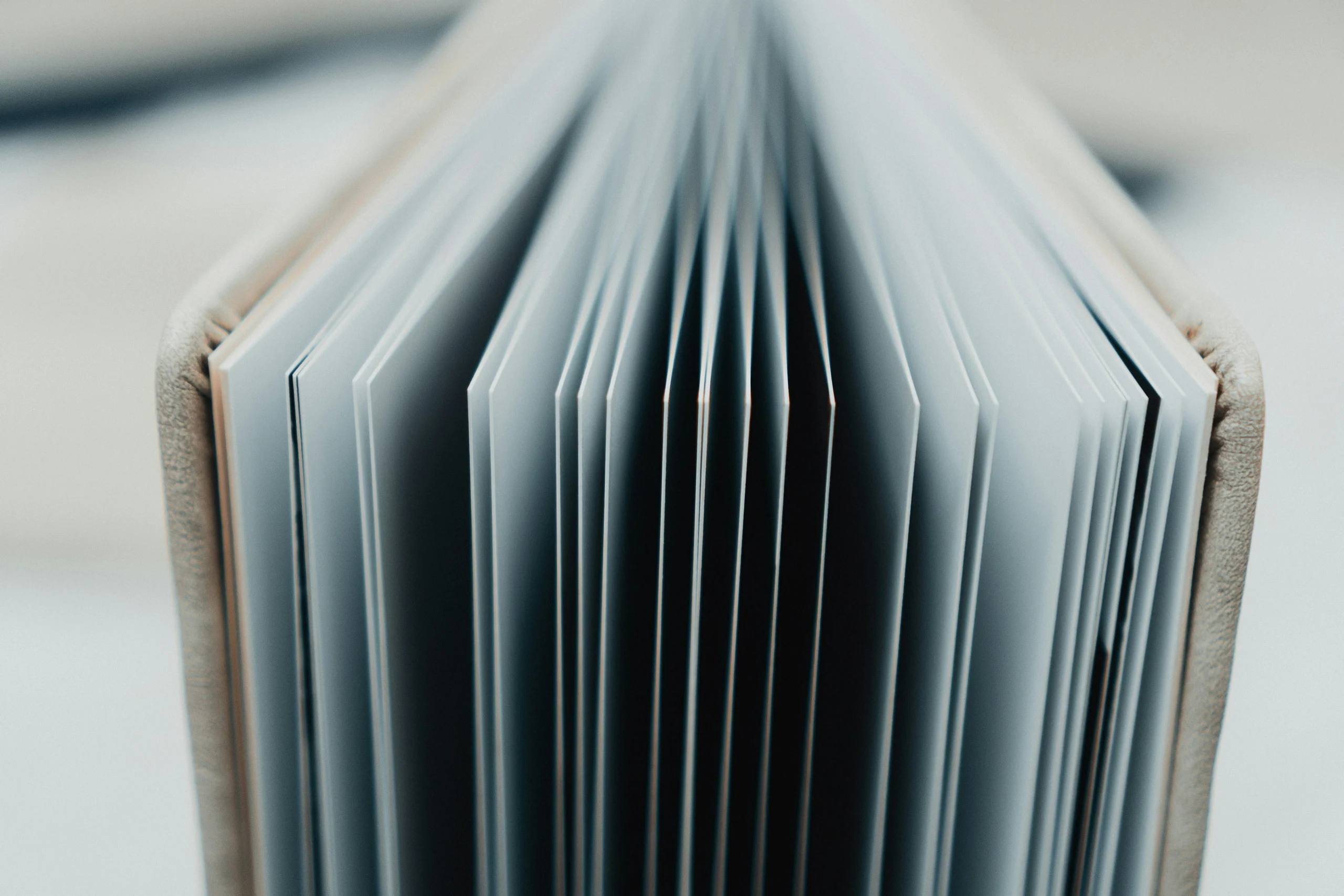Close-up of a book's fanned pages