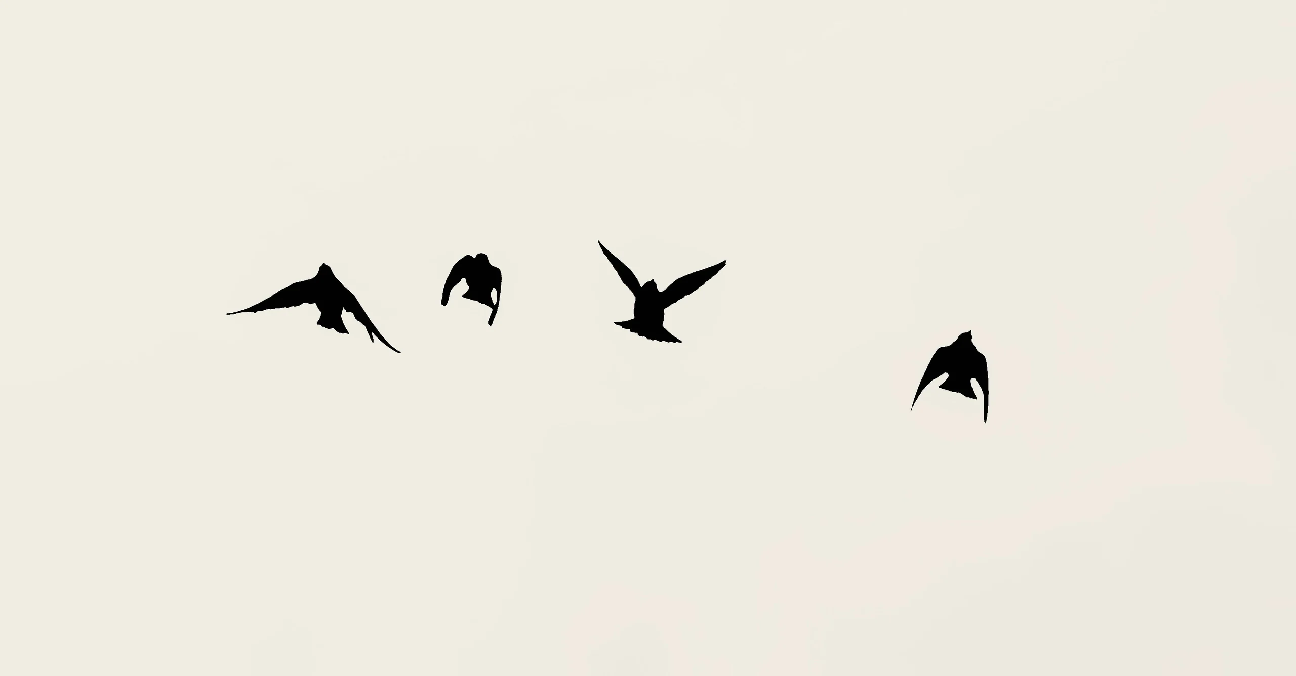 Four birds in flight against a pale, empty sky