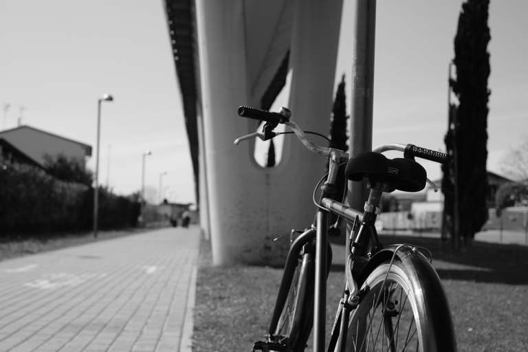  Morning silence under concrete bridges